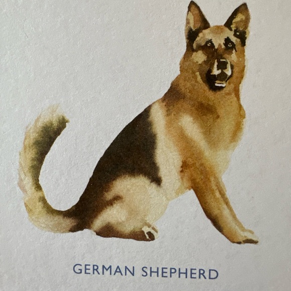 Laurence King Dog Coasters. Set of 16. New in Box - Picture 12 of 12